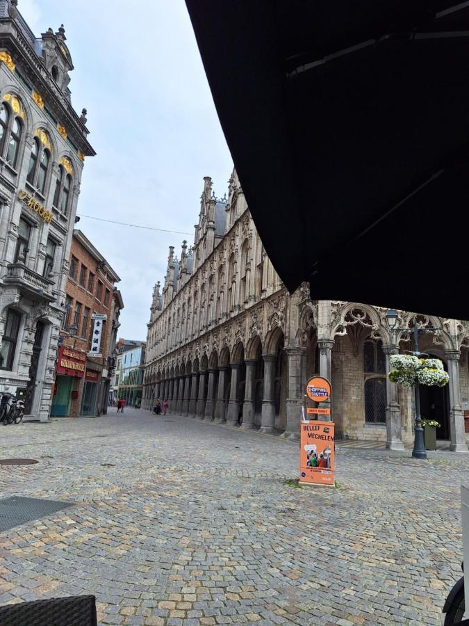 Huis Alna 4 Mechelen Eksteriør billede